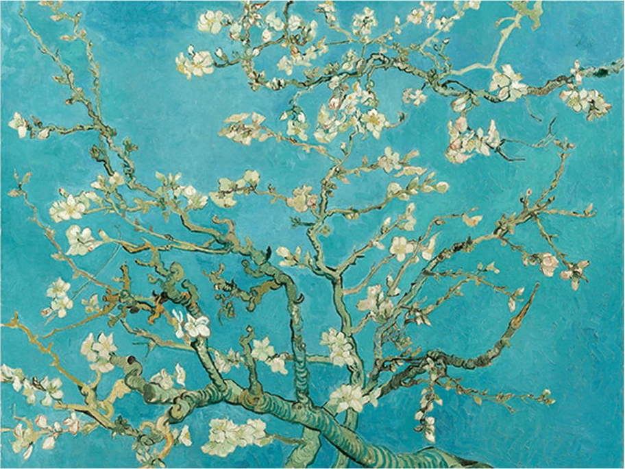 Reprodukce obrazu Vincenta van Gogha - Almond