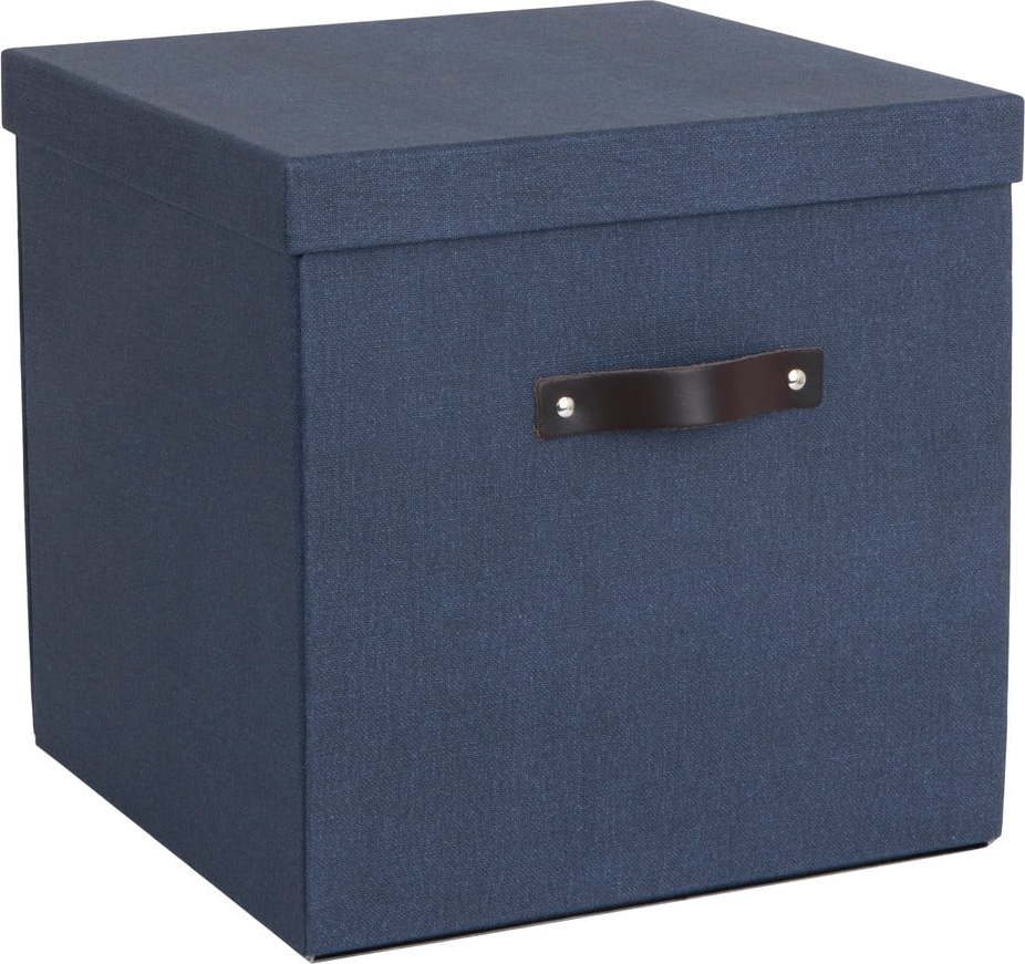 Modrá úložná krabice Bigso Box of