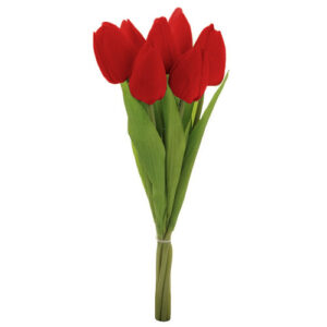 Puget červených tulipánů