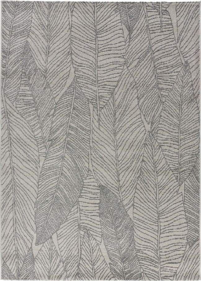 Šedý koberec 150x80 cm Hojas Gris