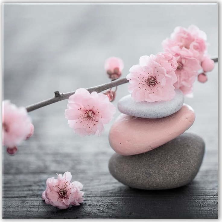 Obraz Styler Glasspik Spa & Zen Pink