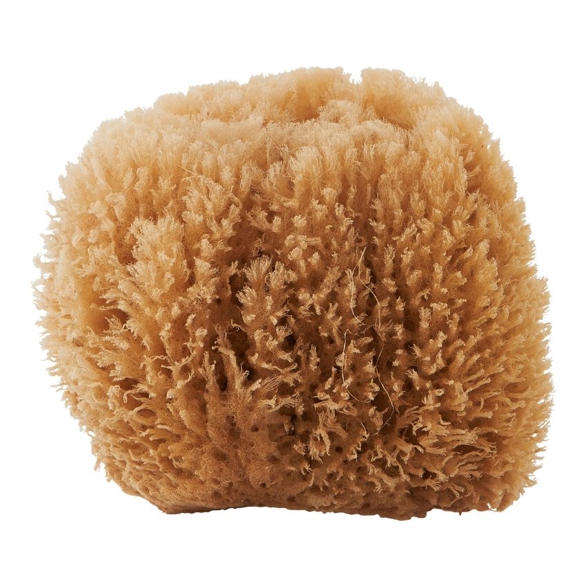 Přírodní mořská houba Meraki